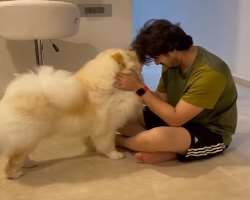 Paras adopted a cute furry dog in September 2020.
